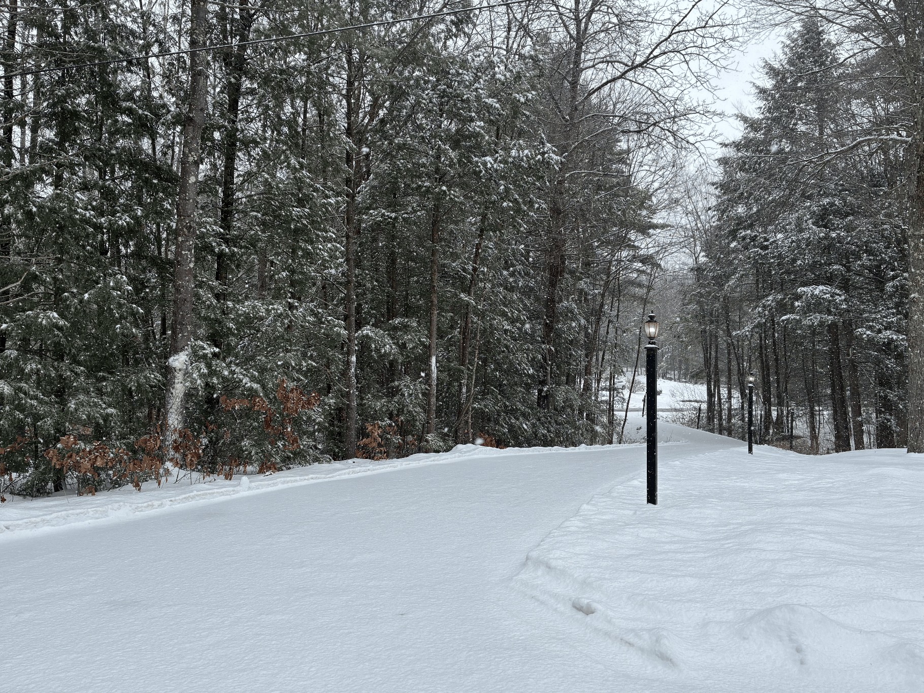 Actually nice snowfall!