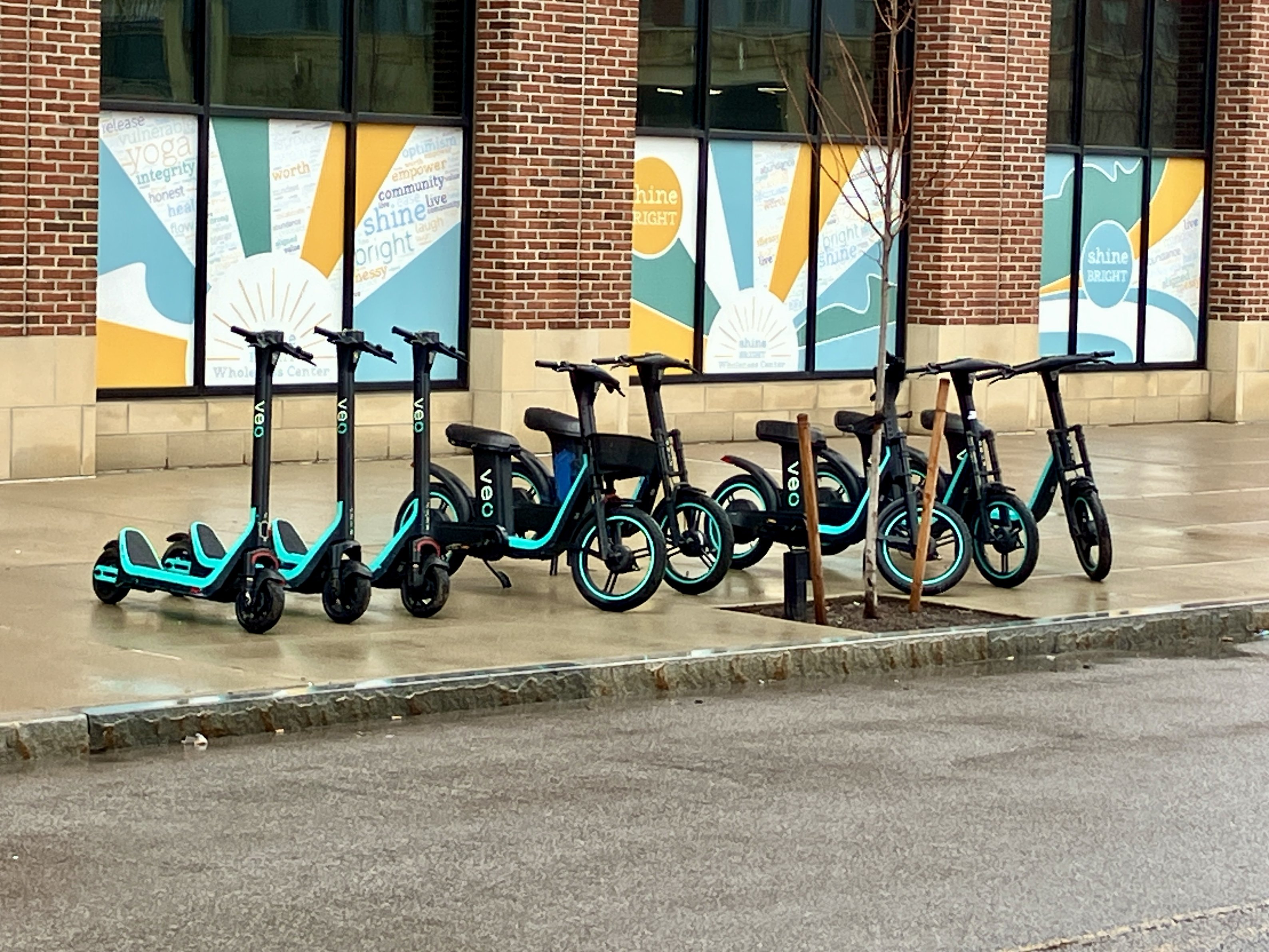 A row of scooters — truly the future of mobility.